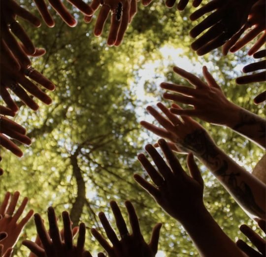 Screenshot_20260213_180235_Pinterest