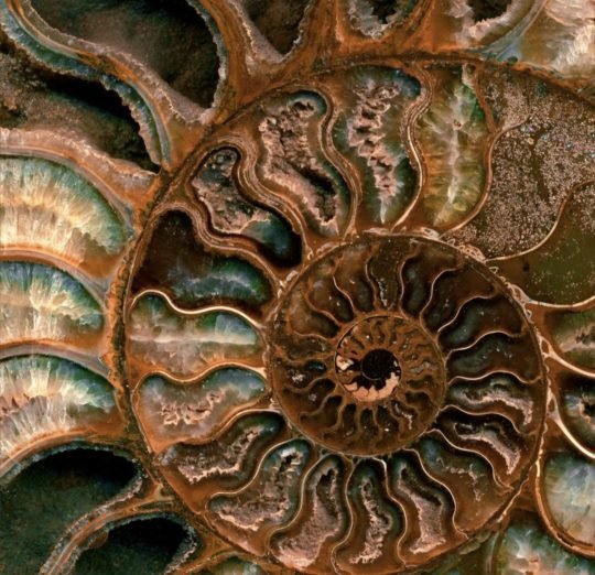 Screenshot_20260213_184921_Pinterest